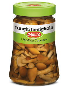 FUNGHI FAMIGLIOLA