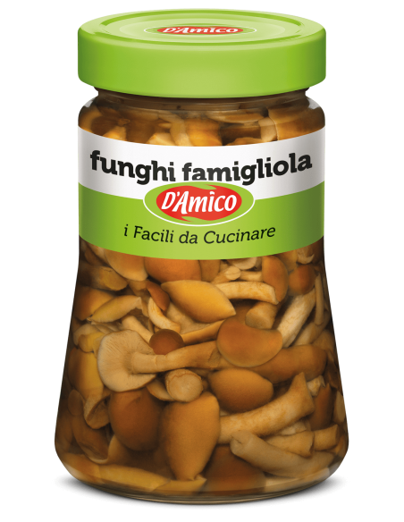FUNGHI FAMIGLIOLA