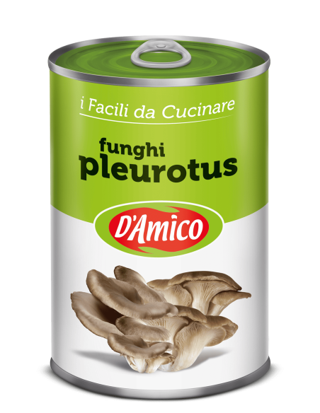 FUNGHI PLEUROTUS