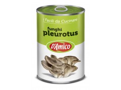 Funghi Pleurotus