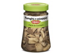 Funghi di pioppo