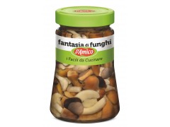 Fantasia di funghi