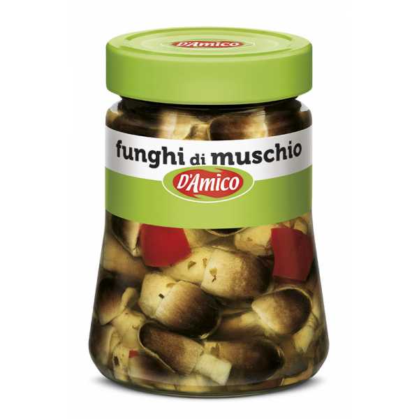 Funghi di muschio
