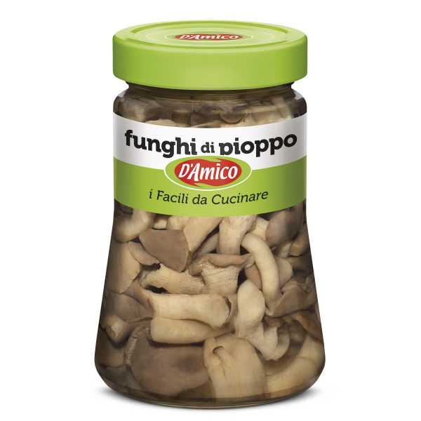 Funghi di pioppo