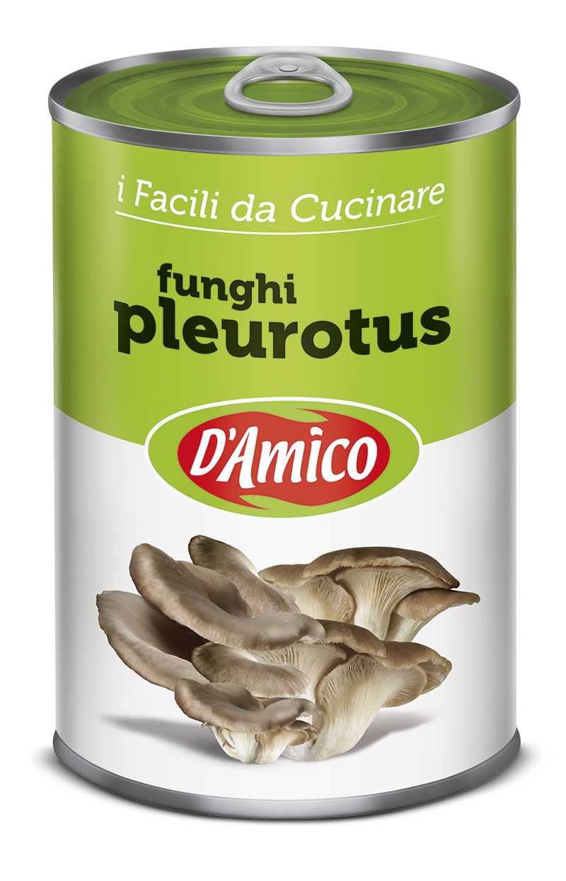 Pleurotus Mushrooms