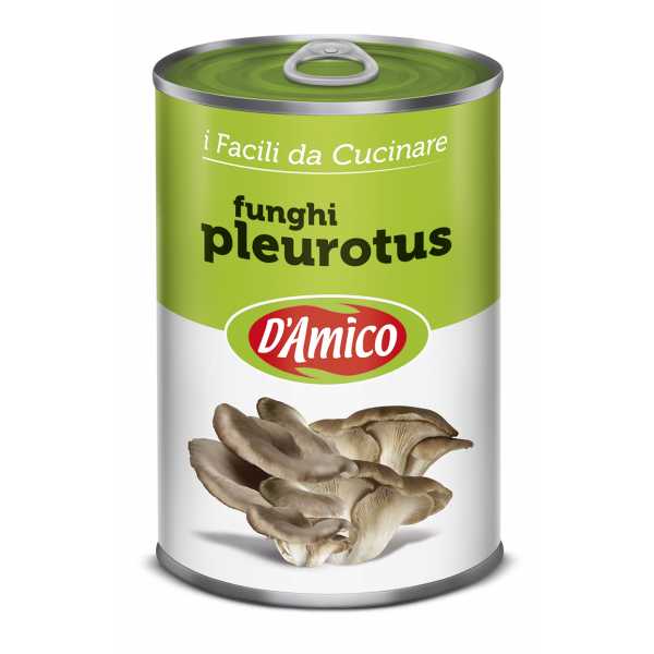 Pleurotus Mushrooms