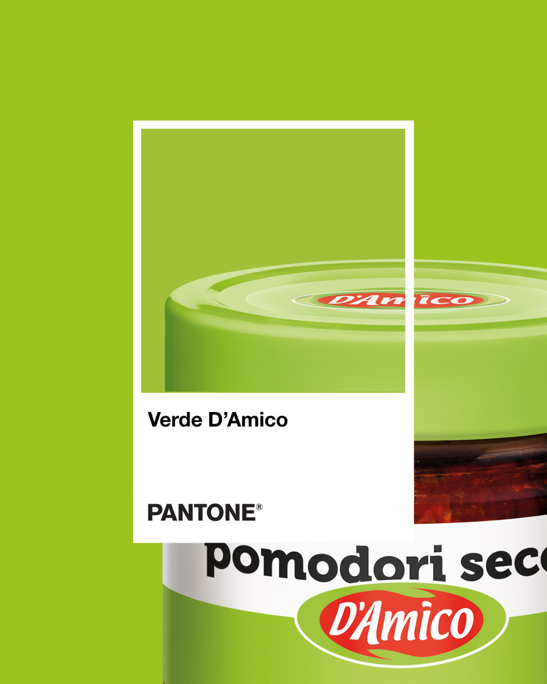 Immagine 1