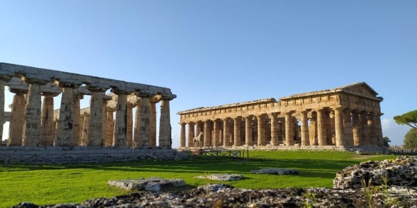 D’AMICO CUSTODE DELLA CULTURA E DEL TERRITORIO CON LA DONAZIONE A FAVORE DEL PARCO ARCHEOLOGICO DI PAESTUM