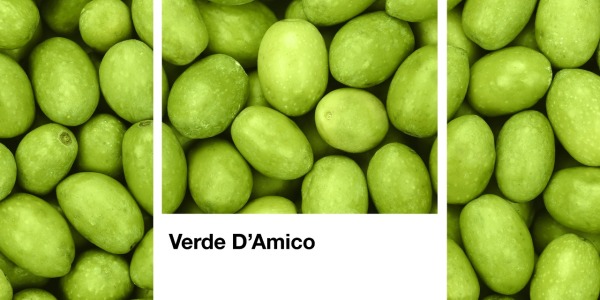  D’Amico e Pantone insieme per raccontare il gusto del benessere: con il “Verde D’Amico"